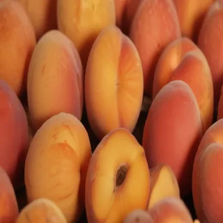 peach color background