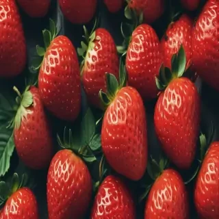 strawberry wallpaper iphone