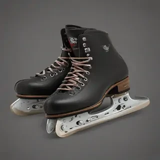 skates png