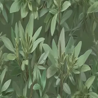aesthetic sage green