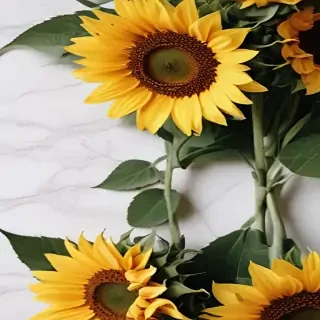aesthetic sunflower background