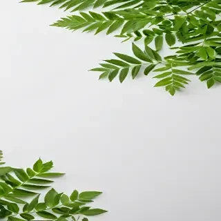 green on white background