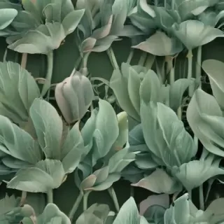 sage green wallpaper iphone