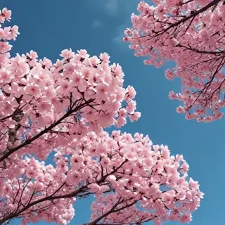 aesthetic spring wallpapers