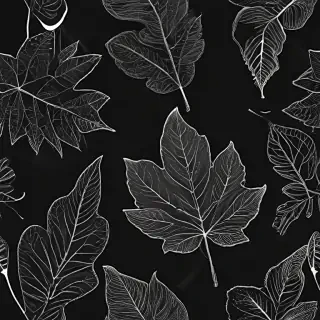 black and white leaf clip art