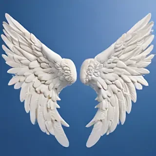 picture of angel wings