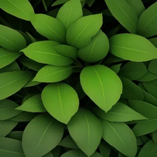 green leaves png