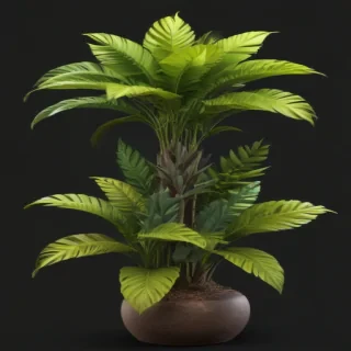 plant png clipart