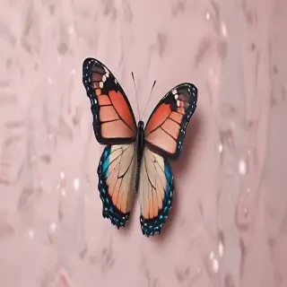 butterfly aesthetic