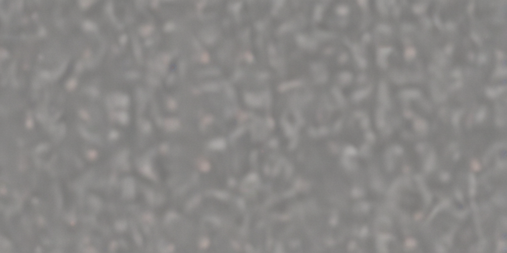 Abstract Texture of Soft Gray Background with Subtle Patterns and Depth