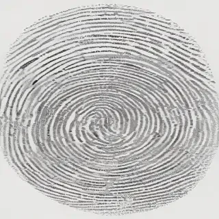 fingerprint png