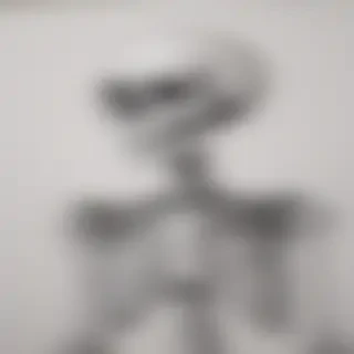 creative skeleton drawing art