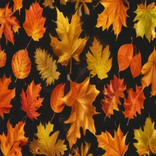 fall leaves png transparent