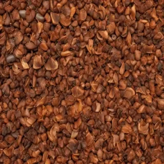 brown backgrown