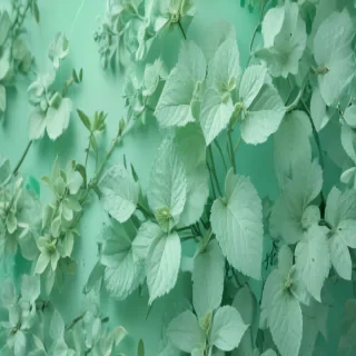 mint green backgrounds