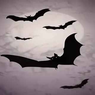 halloween bats images