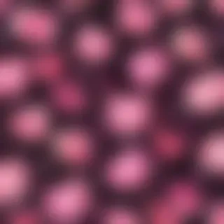iphone girly valentines day wallpaper
