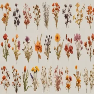 dried flowers png