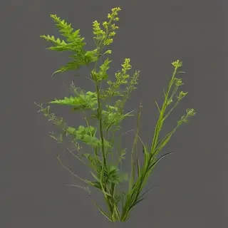 weeds png