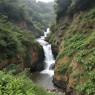 barbado da terceira