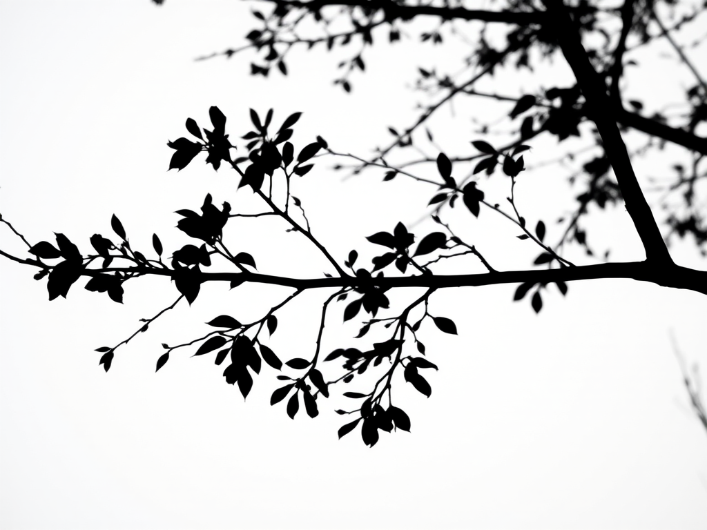 Generate a high-contrast black and white silhouette image of a tree branch against a bright background, shot with a Canon EOS 5D Mark IV, 50mm lens, aperture f/2.8, shutter speed 1/250s, ISO 100, using top-down view to enhance depth and detail.