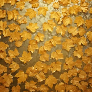 golden leaves background