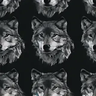wolf background
