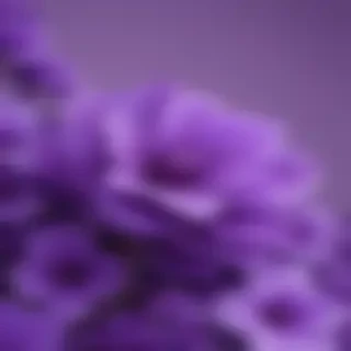 cute wallpapers purple
