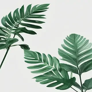 green aesthetic png