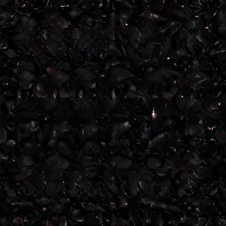 black background glitter