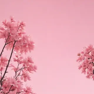 pastel pink aesthetic wallpaper