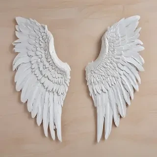 picture of angel wings