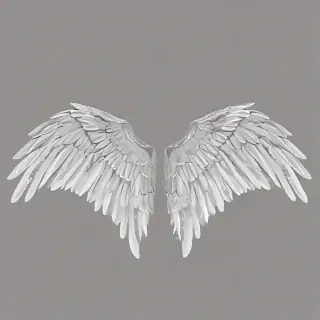 wings transparent