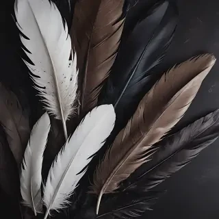 feather background
