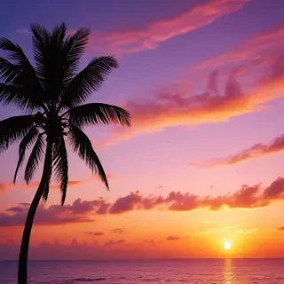 sunset wallpaper for phone