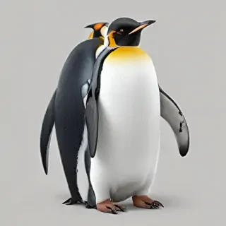 penguin png
