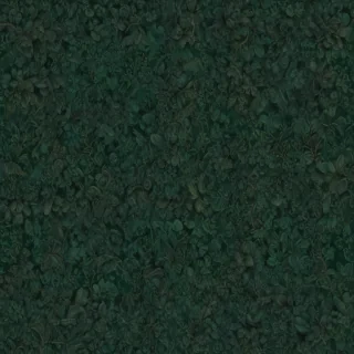 dark green colour wallpaper