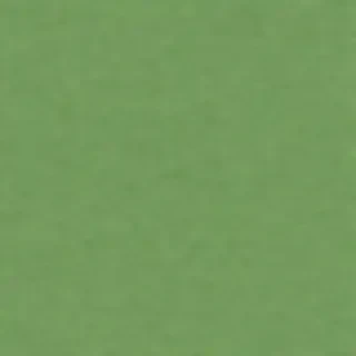 green background plain