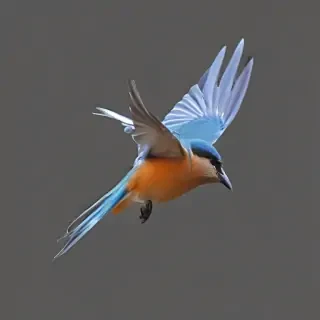 birds flying transparent background