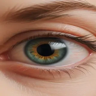 eyeball png
