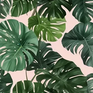 aesthetic monstera wallpaper