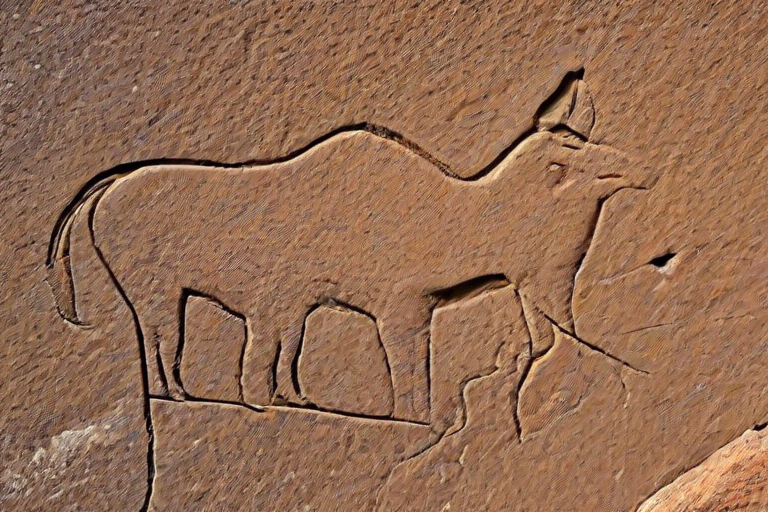 petroglyph