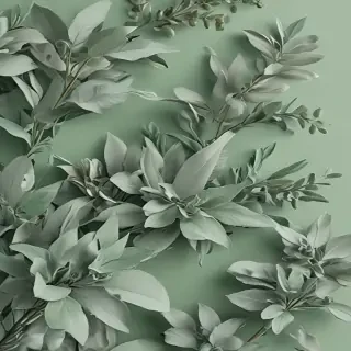 sage green aesthetic background
