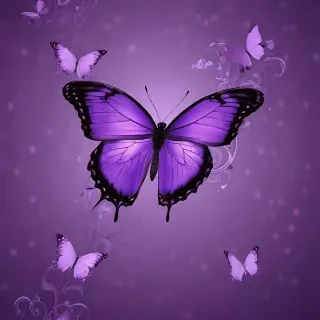 wallpaper purple butterfly