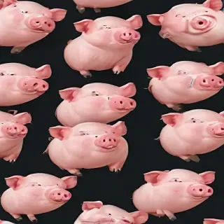 pig background