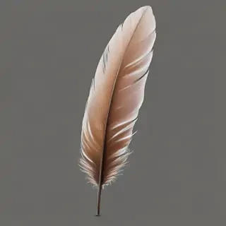 feather png