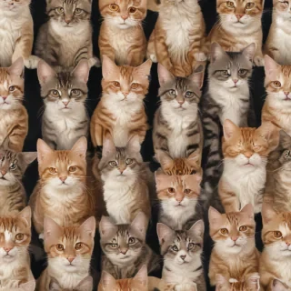 cats backgrounds