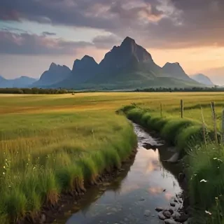 landscapes