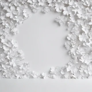 white background wallpaper
