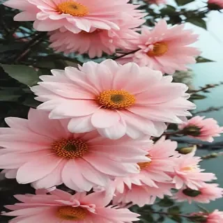cute aesthetic wallpapers flowers